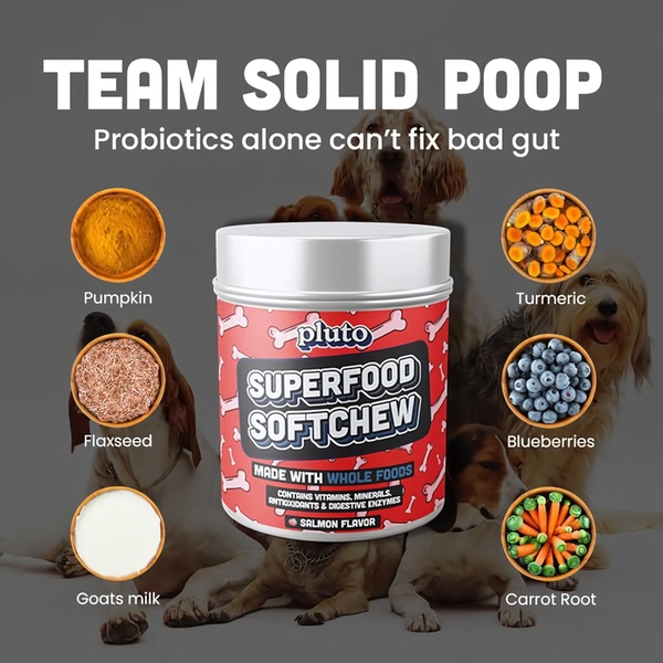 A high-contrast 1:1 image featuring a central product surrounded by clear nutritional callouts to educate dog owners on gut health.